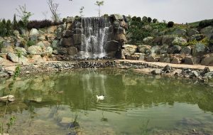 تابستان مشهد کجا بریم؟ده تا از بهترین جاذبه‌ها برای سفر خنک