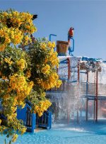 جاهای دیدنی کیش در تابستان؛‌ ۲۲ جاذبه تابستان‌ گردی در کیش