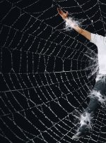 بیوه‌های سیاه: از قاتل سریالی آمریکا تا پرونده هولناک کلثوم اکبری در مازندران