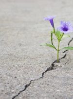 معنای واقعی زندگی چیست؟ + ۴۰ متن در تعریف زندگی معنای واقعی زندگی چیست؟ + ۴۰ متن در تعریف زندگی