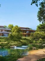 وقتی دبی جنگلی می‌شود؛ سکونتگاه سبز و پایدار در قلب صحرا