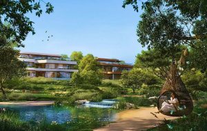 وقتی دبی جنگلی می‌شود؛ سکونتگاه سبز و پایدار در قلب صحرا