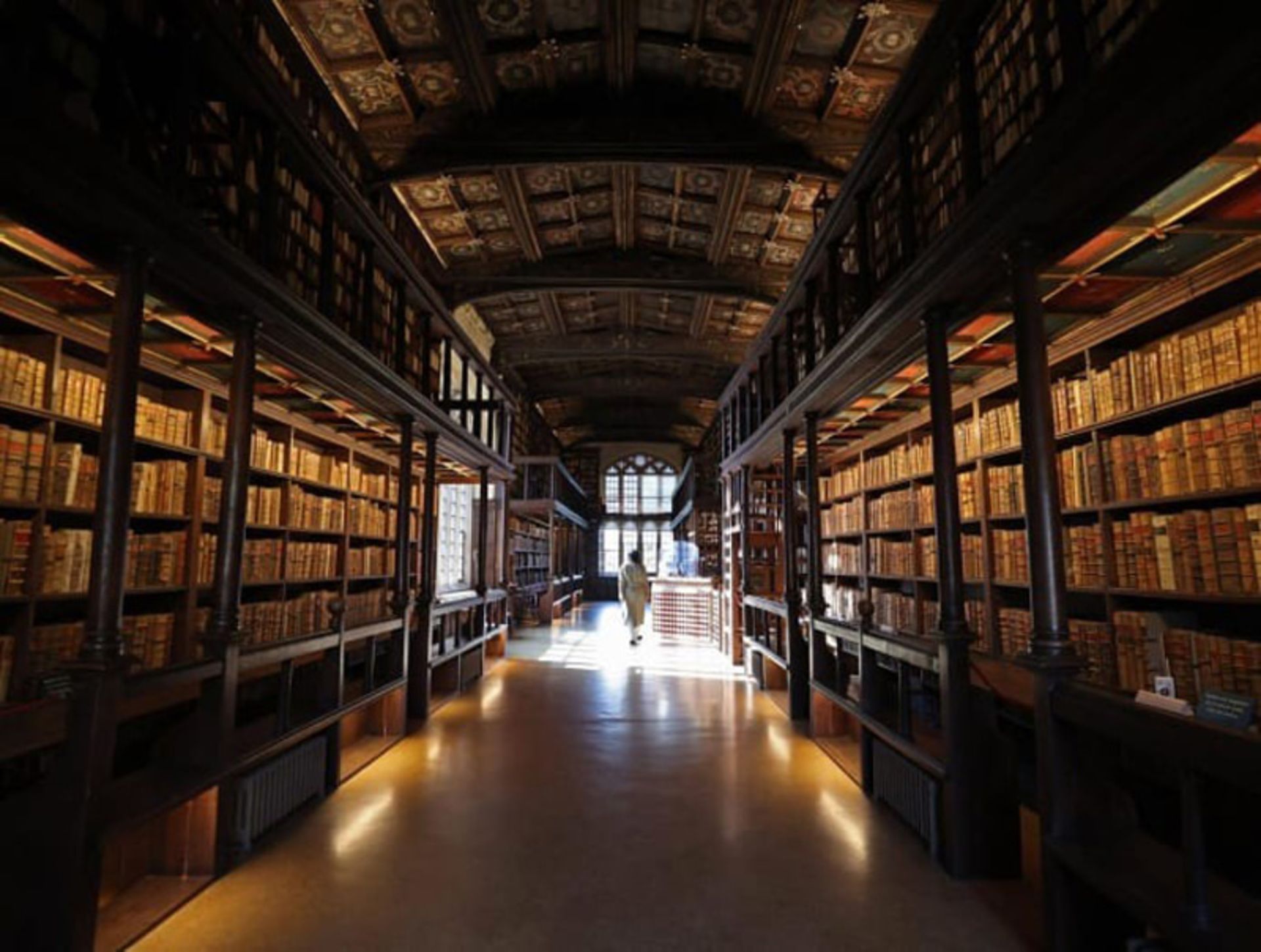 راهروی بلند کتابخانه دوک هامفری آکسفورد با قفسه‌های کتاب چوبی و سقف کنده‌کاری شده