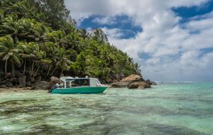 کوچک‌ترین پارک ملی دنیا؛ جزیره‌ای که یک نفر آن را بهشت کرد