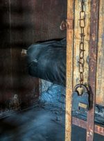 مرد نبراسکا با طرح رمزنگاری 3.5 میلیون دلاری به زندان 1 ساله محکوم شد