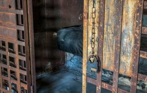 مرد نبراسکا با طرح رمزنگاری 3.5 میلیون دلاری به زندان 1 ساله محکوم شد