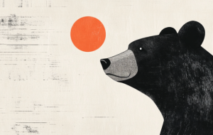 دلار استرالیا پس از ملاقات با کاخ سفید ، دلار آمریکا را تضعیف می کند