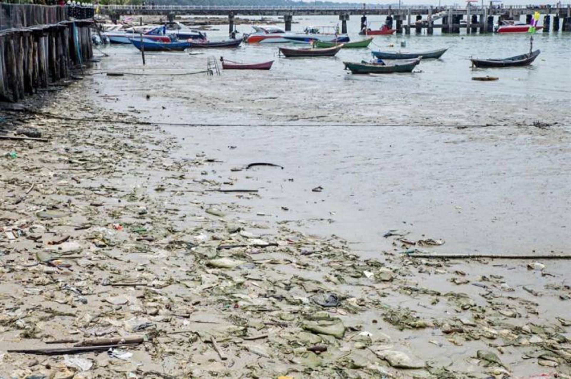 زباله ها در خلیج هالونگ 