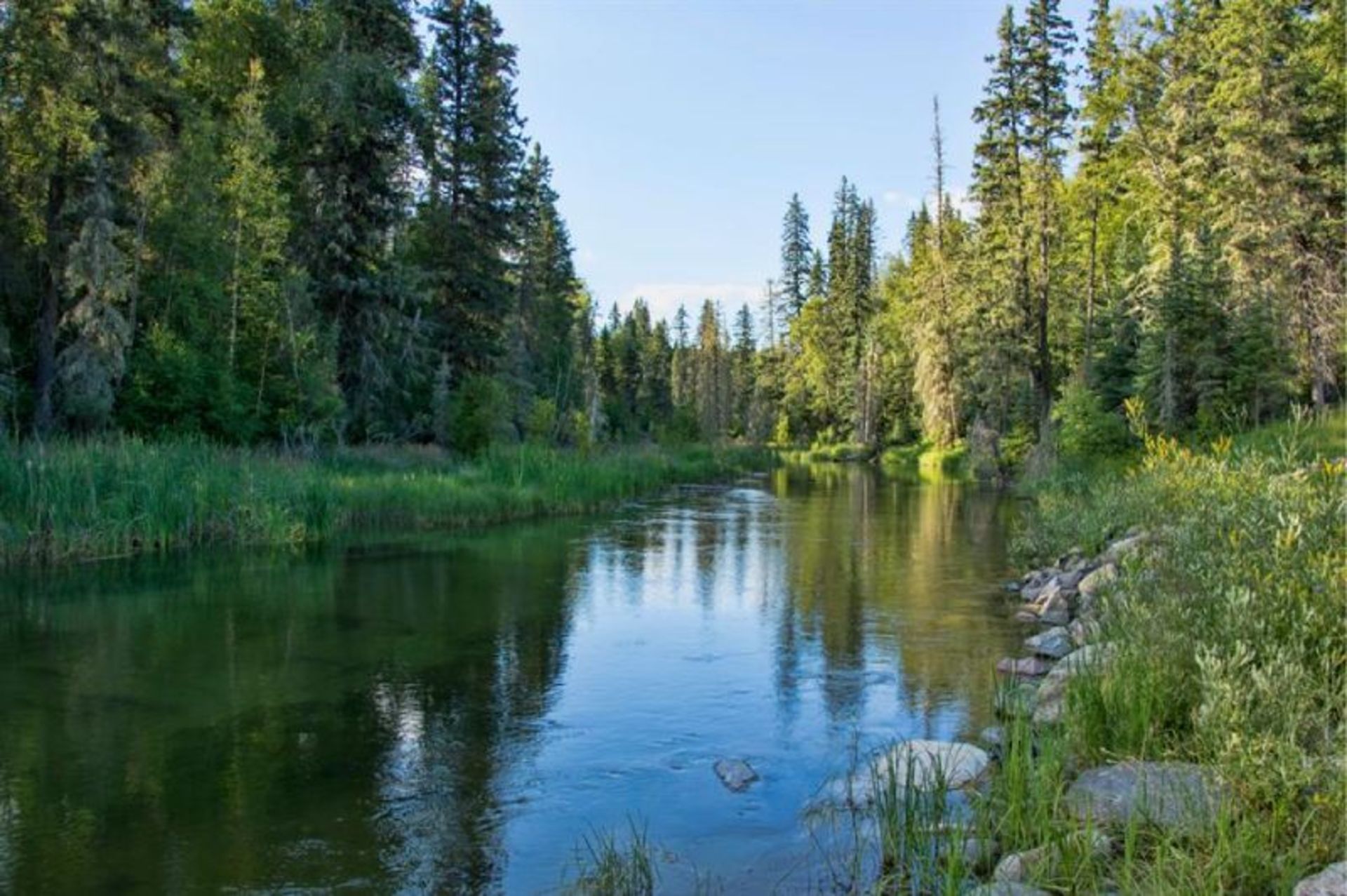 انعکاس درختان و آسمان در دریاچه واسکسیو در استان ساسکاچوان