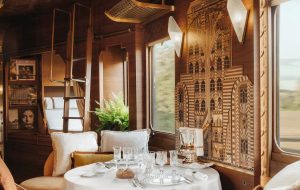 گران‌ترین تجربه‌های گردشگری جهان؛ از دیدن گوریل‌ها تا سفر به فضا