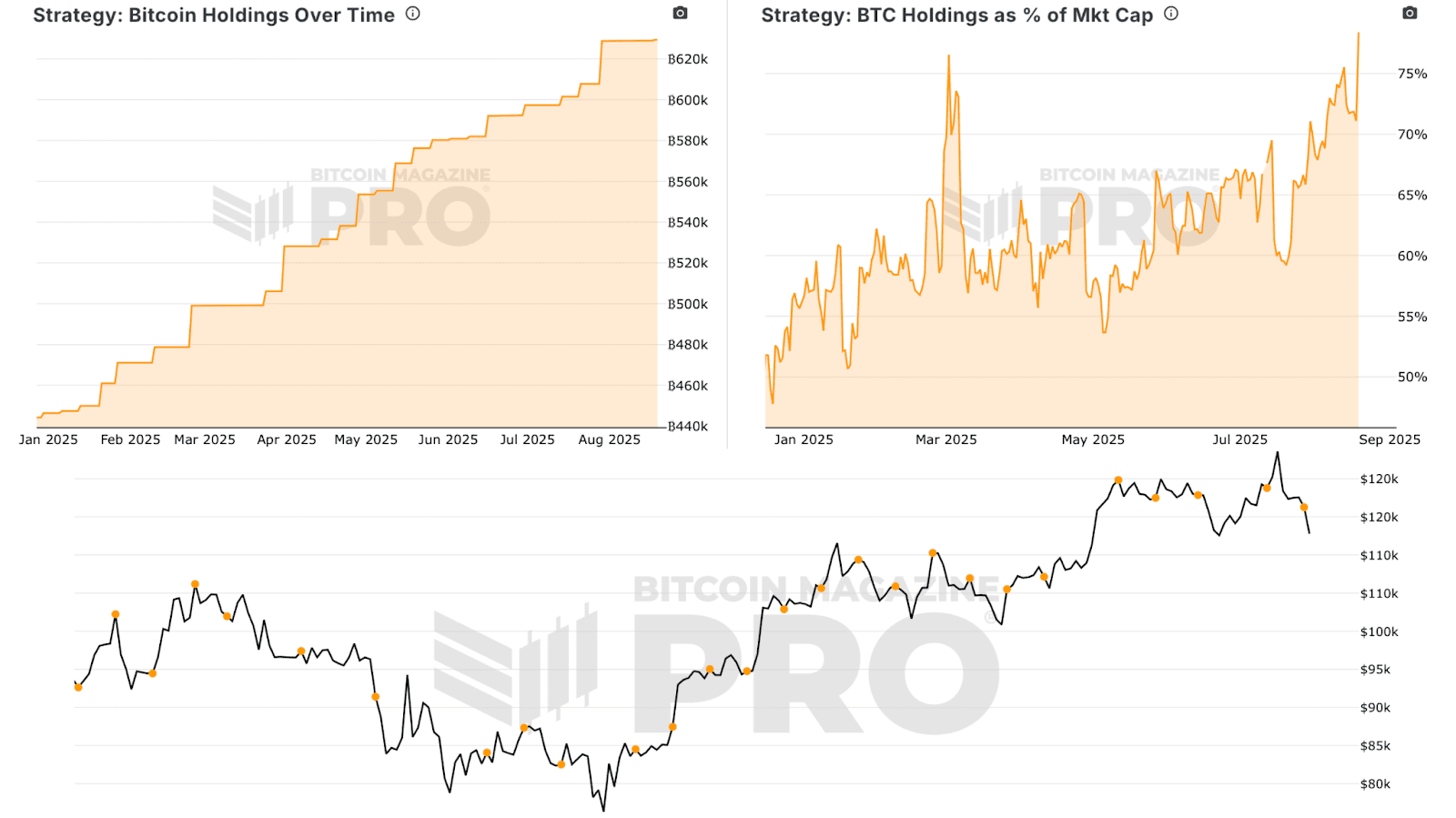 Are Bitcoin Treasury Companies Still a Smart Investment in 2025? 4