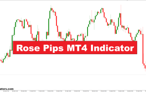 نشانگر Rose PIPS MT4 – forexmt4indicators.com