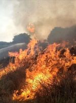 آتش سوزی گسترده در حاشیه پارک ملی تهران