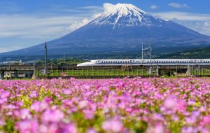 Metaplanet 103 بیت کوین خریداری می کند ، اکنون 18،991 BTC به ارزش 1.95B دلار دارد