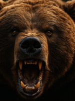 خرس های بیت کوین کنترل می کنند – سد کلیدی 110K $ خرد شده