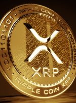 کارت اعتباری XRP با حداکثر 4 ٪ عقب راه اندازی می شود.
