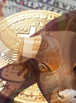 بازار خرس در چشم نیست؟ اجرای گاو بیت کوین ممکن است سالها کشیده شود