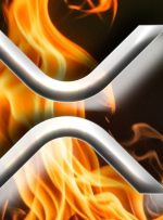 مدیرعامل Ripple کارت XRP را با آتش تأیید می کند – می گوید “چه زمانی زنده بودن ، خانواده XRP”