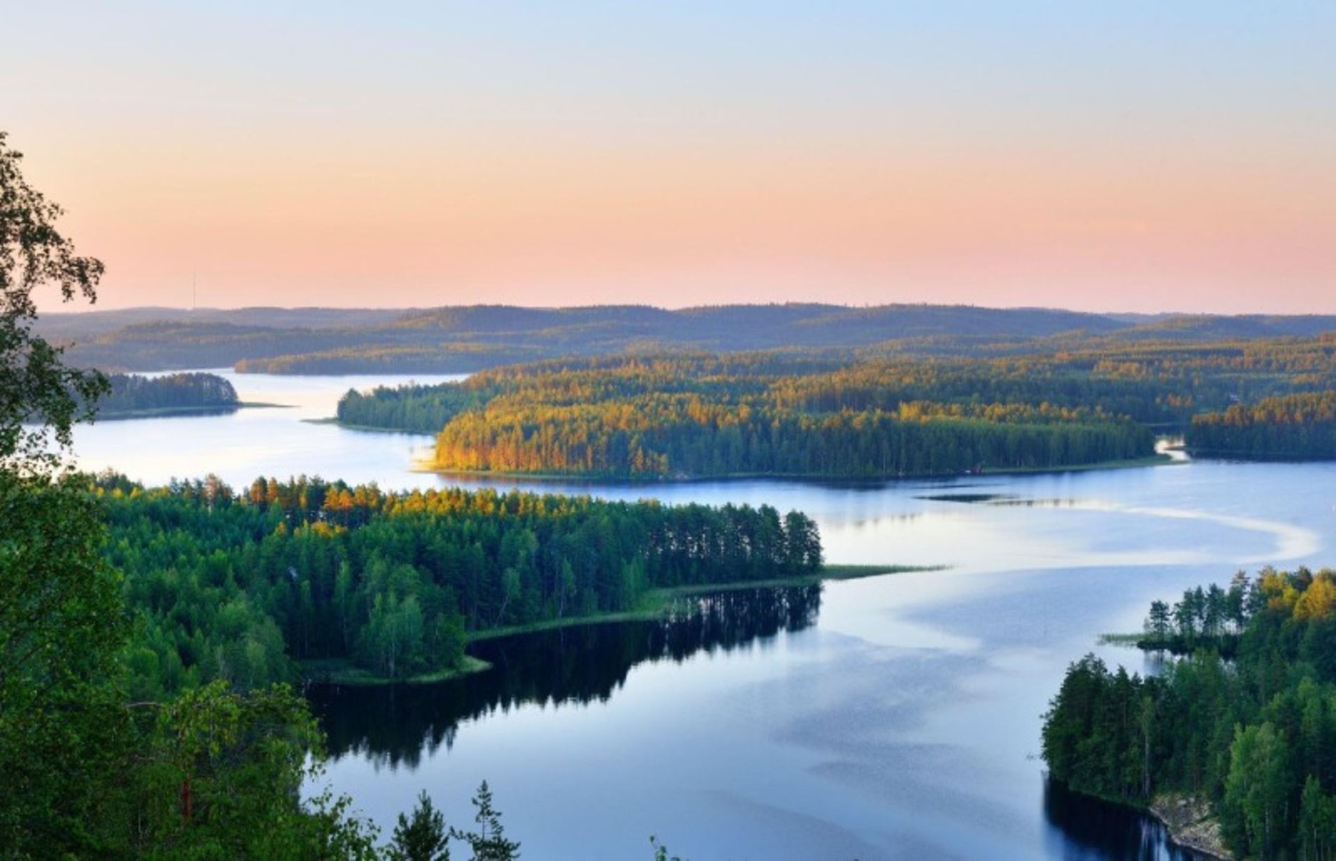 دریاچه سایما و درختان سرسبز اطراف در روز