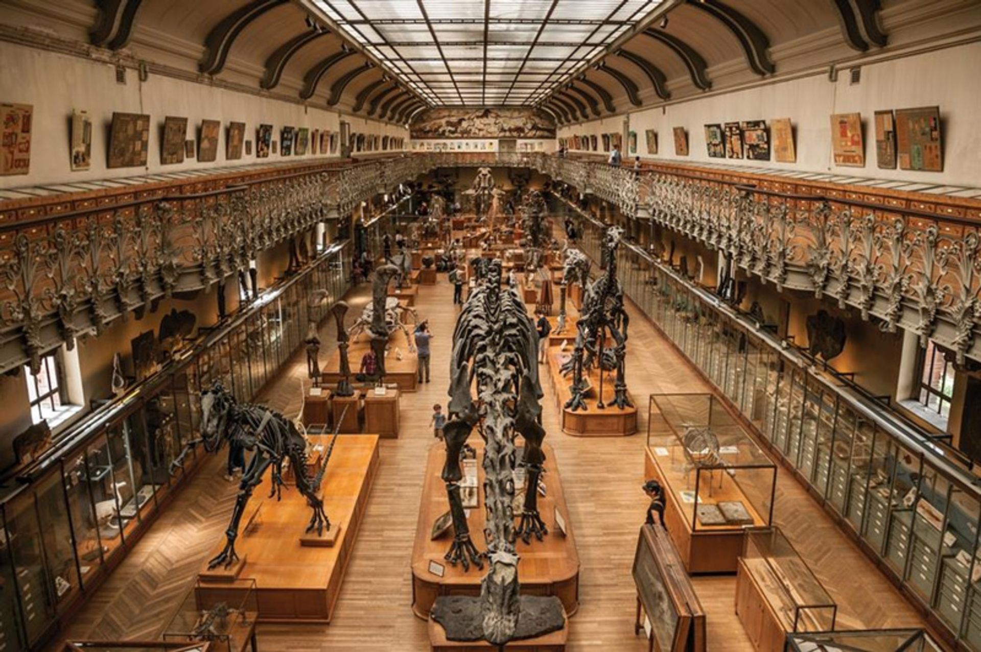 موزه تاریخ طبیعی پاریس