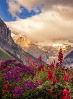 IRCC اولین قرعه کشی اکسپرس اوت را برگزار می کند