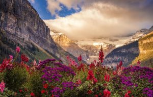 IRCC اولین قرعه کشی اکسپرس اوت را برگزار می کند