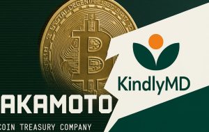Kindlymd & Nakamoto به طور رسمی ادغام می شوند ، قصد دارند یک میلیون BTC بخرند