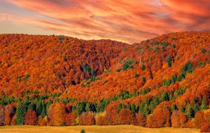 Manitoba اولین قرعه کشی استانی اوت را برگزار می کند