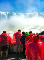 آگوست 2025: نامزدهای ورود اکسپرس با رقابت سختگیرانه روبرو می شوند