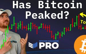 آیا بازار گاو نر بیت کوین در صدر قرار دارد؟