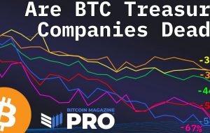 آیا شرکت های خزانه داری بیت کوین هنوز در سال 2025 سرمایه گذاری هوشمندانه ای هستند؟ آیا شرکت های خزانه داری بیت کوین هنوز در سال 2025 سرمایه گذاری هوشمندانه ای هستند؟