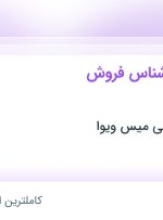 استخدام مشاور و کارشناس فروش (مهاجرتی) در آکادمی مهاجرتی میس ویوا در تهران