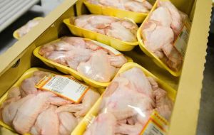 افزایش ۱۱۲ تا ۱۶۵ درصدی قیمت مرغ به دلیل بسته‌بندی