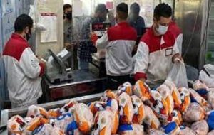 تغییر مهم در قیمت مرغ/ مرغ چه زمانی ارزان می‌شود؟