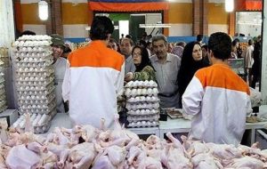 قعطی برق، قیمت مرغ را افزایش داد؟