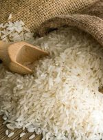 قیمت برنج ایرانی امروز پنجشنبه ۳۰ مرداد + جدول-راهبرد معاصر