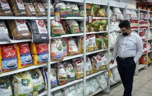 قیمت برنج خارجی امروز ۲۴ مرداد ۱۴۰۴ / ارزان‌ترین برنج پاکستانی کیلویی چند؟ + جدول