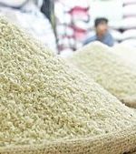 قیمت جدید برنج در میادین میوه و تره‌بار اعلام شد/گرانترین و ارزانترین نرخ‌ها