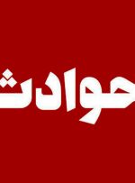 مرد مسلح جمجمه فردی را که فرزندانش برای چیدن آلو وارد باغ او شده بودند متلاشی کرد