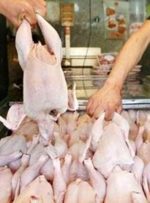 مرغ ارزان می‌شود – هوشمند نیوز