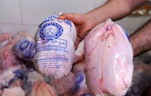 مرغ منجمد در صف ورود به بازار