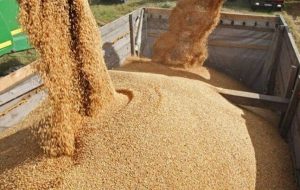 معاون وزیر جهادکشاورزی: مشکلی در تامین ارز واردات نهاده‌های دامی وجود ندارد