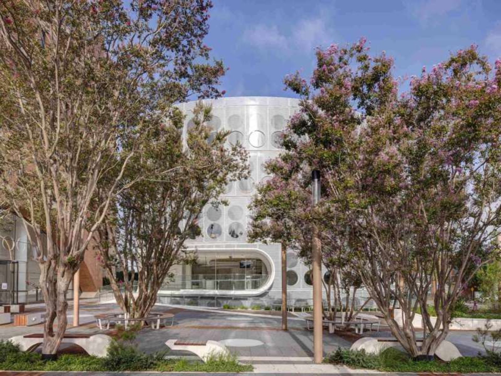 فضای سبز کتابخانه یلاموندی 