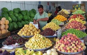 میوه ارزان می شود – هوشمند نیوز