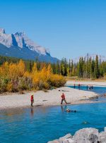 ورود اکسپرس: IRCC برای نامزدهای CEC انتخاب می کند