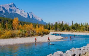 ورود اکسپرس: IRCC برای نامزدهای CEC انتخاب می کند