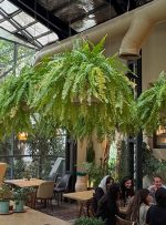 ویدیو | سبزترین کافه تهران اینجاست!