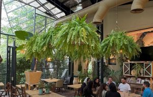 ویدیو | سبزترین کافه تهران اینجاست!