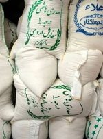 پرواز قیمت برنج در نیمه مرداد