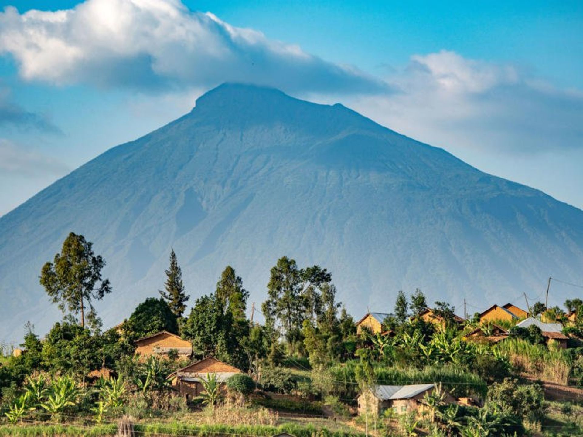 پوشش گیاهی پارک ملی آتشفشان ها